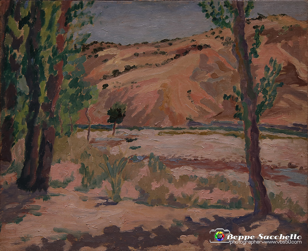 VBS_1261 - Mostra Carlo Levi - Viaggio in Italia. Luoghi e volti.jpg